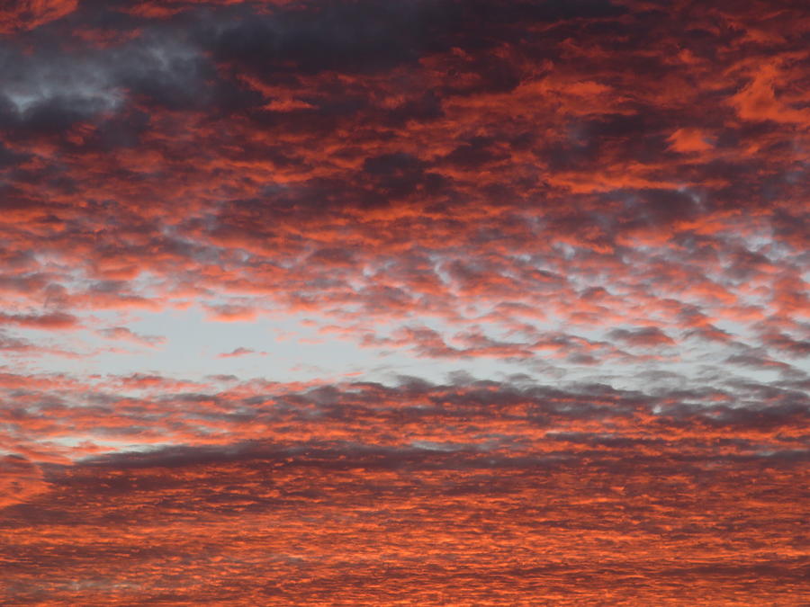 Fluffy Sunset Clouds Photograph by Magnus Vescelus - Fine Art America