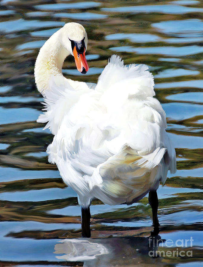 Fluffy Swan    digital painting  Photograph by Elaine Manley