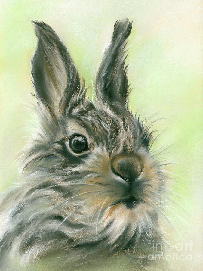 Fluffy Young Hare Portrait Painting by MM Anderson