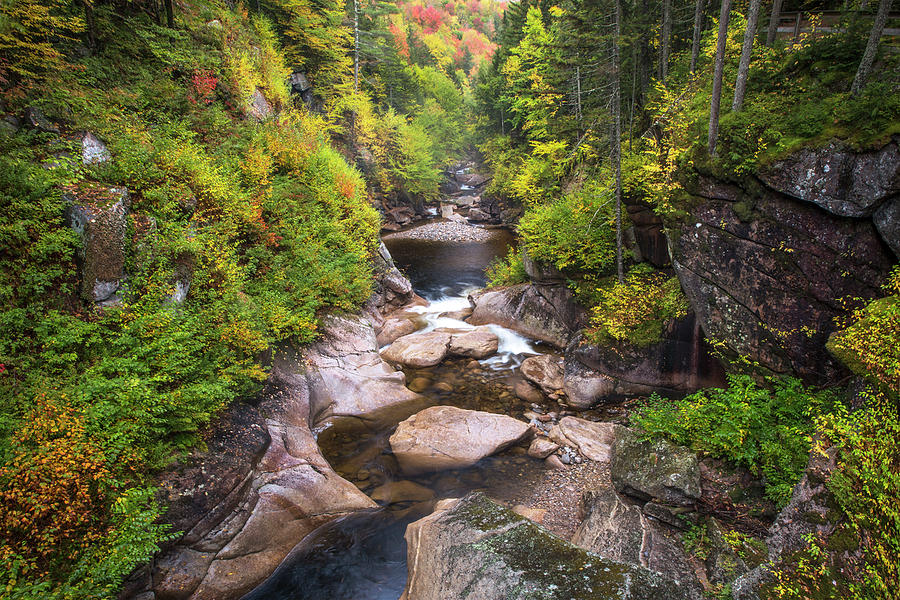 Flume Gorge Autumn Pool Photograph by White Mountain Images