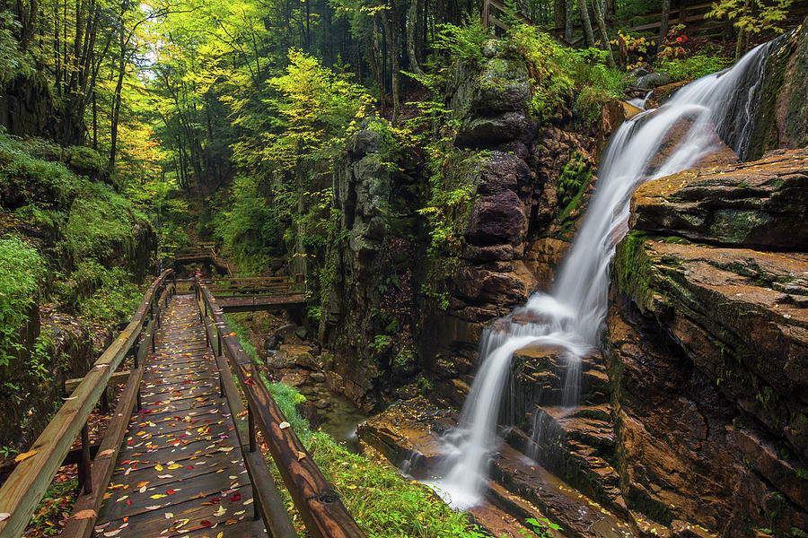 Flume Gorge Avalanche Falls Photograph by White Mountain Images
