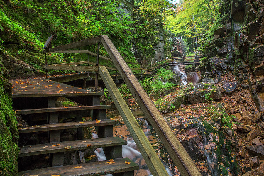 Flume Gorge Boardwalk Photograph by White Mountain Images