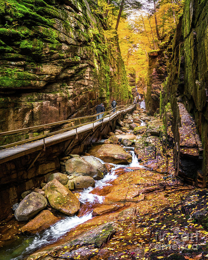 Flume Gorge in Autumn Photograph by Benjamin Williamson