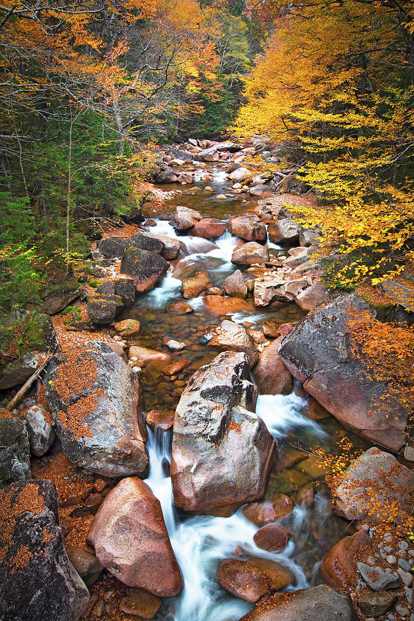 Flume Gorge in Autumn Photograph by Eric Gendron