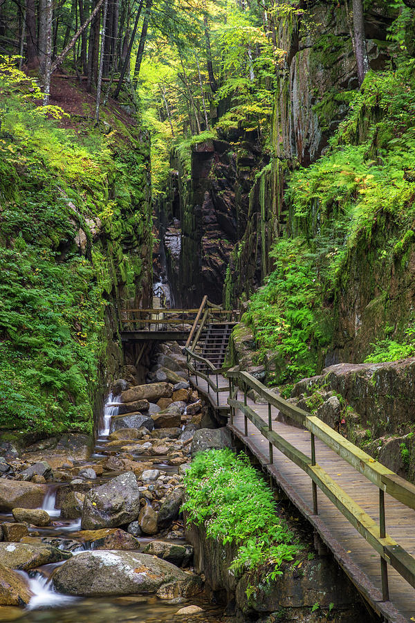 Flume Gorge South End Photograph by White Mountain Images