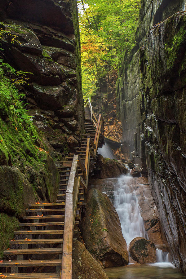 Flume Gorge Staircase Photograph by White Mountain Images