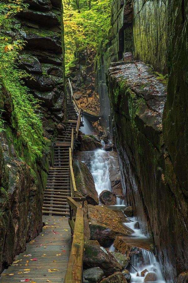 Flume Gorge Walkway Photograph by White Mountain Images