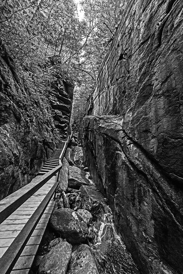 Flume Gorge Walkway North Conway New Hampshire NH Black and White Photograph by Toby McGuire