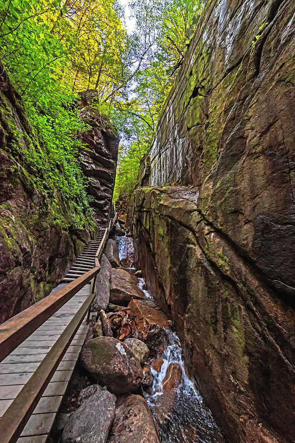 Flume Gorge Walkway North Conway New Hampshire NH Photograph by Toby McGuire