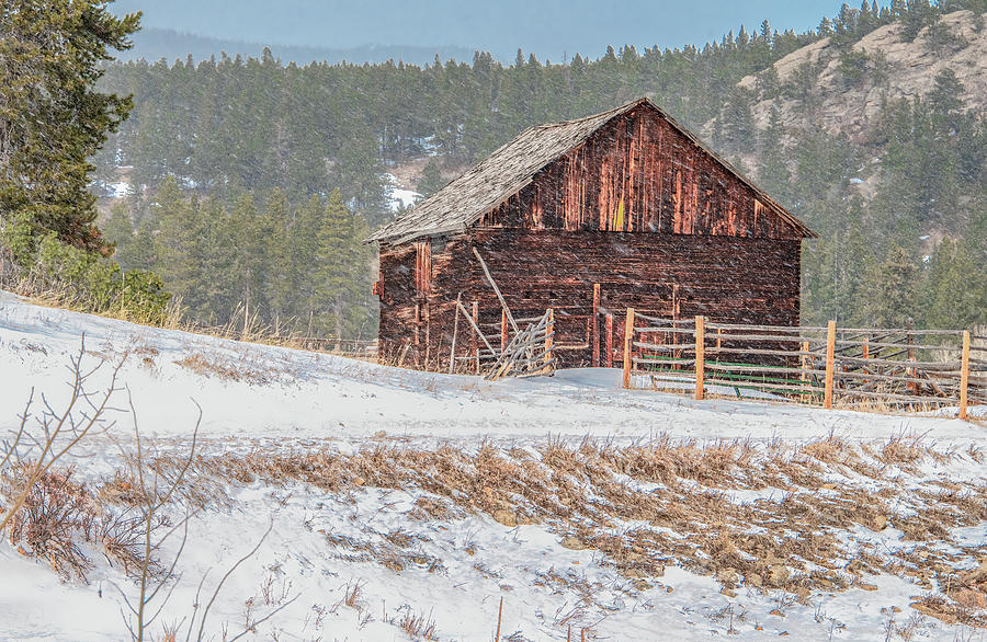 Flurries Fly in Rural Colorado Photograph by Marcy Wielfaert