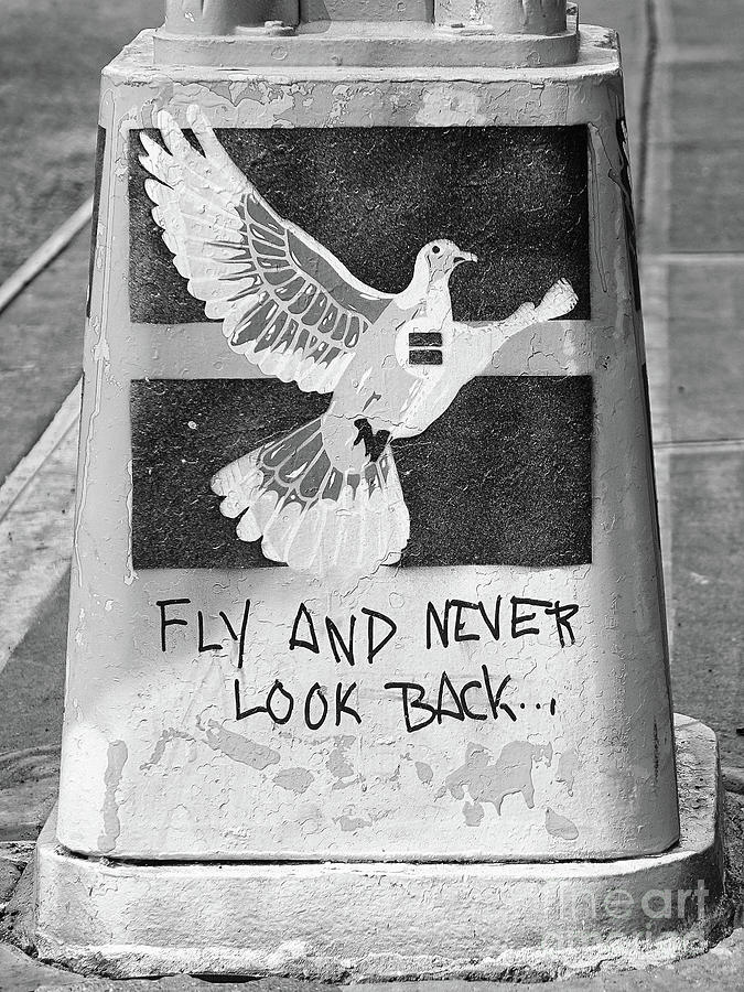 Fly Photograph - Fly and Never Look Back by Frank Daske Fly Photograph - Fly and Never Look Back by Frank Daske