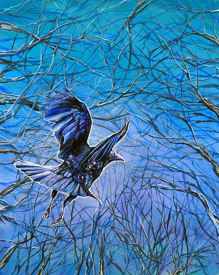 Fly By Night Painting by R J Marchand