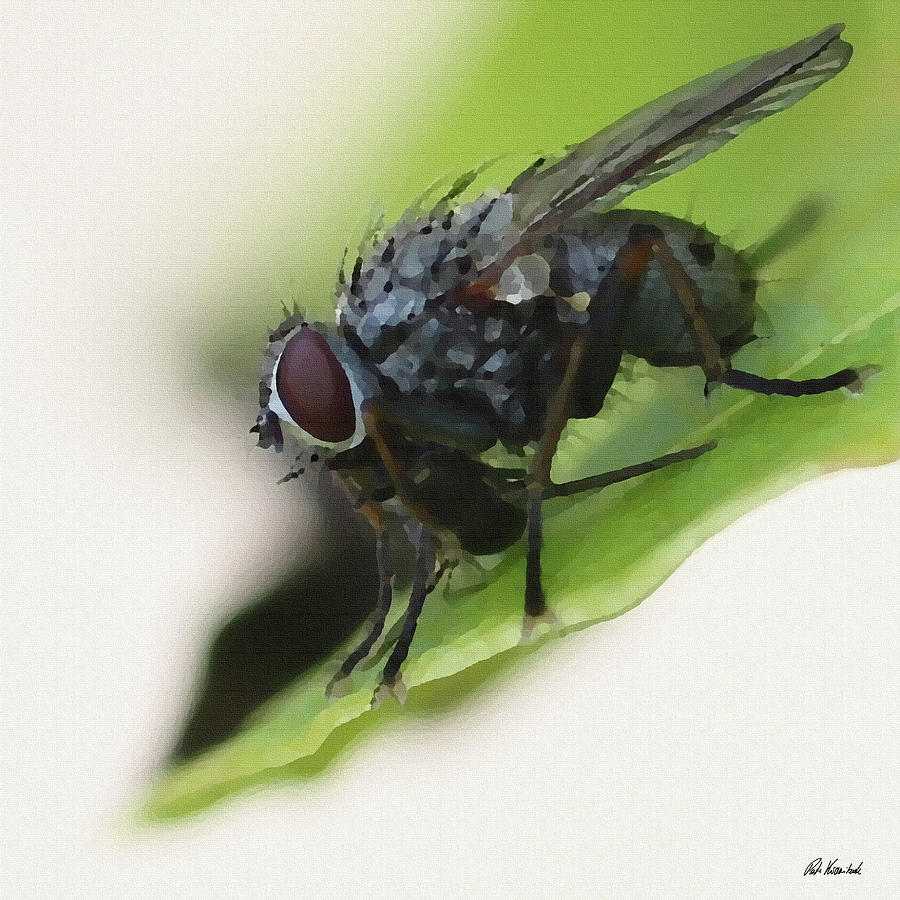 Fly eat Louse Digital Art by Peter Kraaibeek
