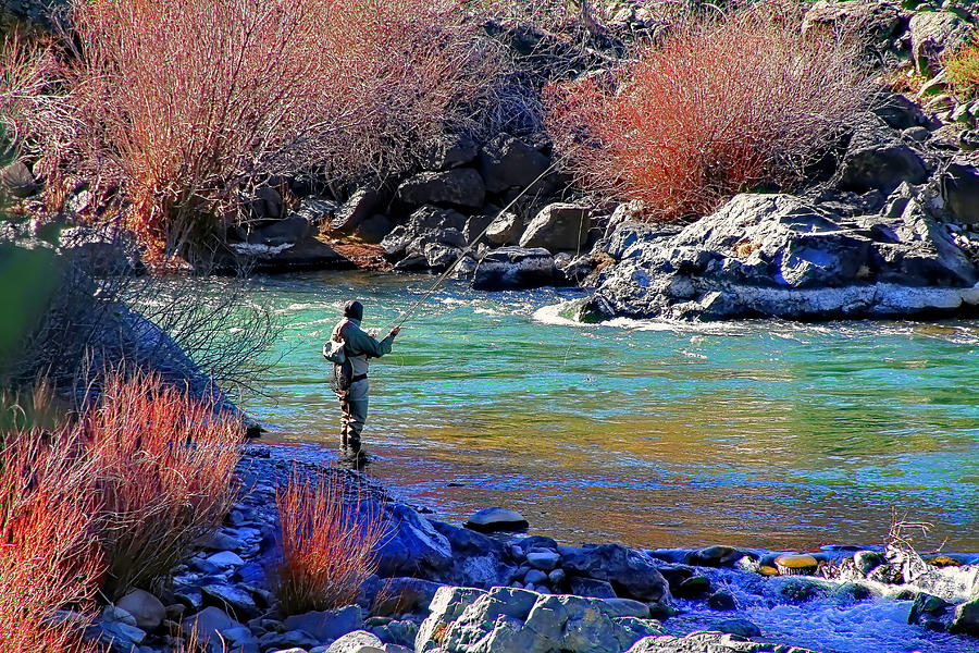 Fly Fishing Photograph by Donna Kennedy