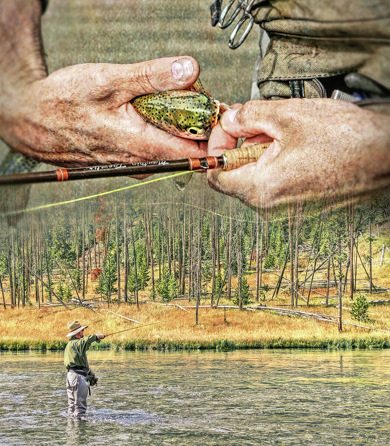 Fly Fishing Dream Photograph by Jennie Marie Schell