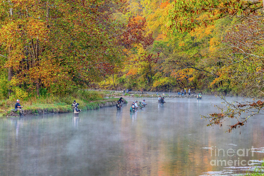 Fly Fishing Foggy Autumn Morning Photograph by Jennifer White