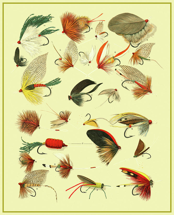 Pattern Digital Art - Fly Fishing Lures by Gary Grayson