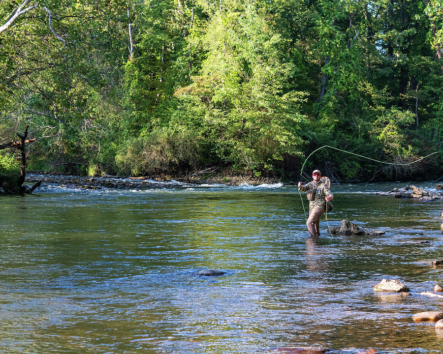 Fly-fishing On The Watauga 2 Photograph By Cynthia Clark - Fine Art America