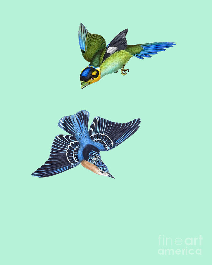 Bird Digital Art - Fly High by Madame Memento