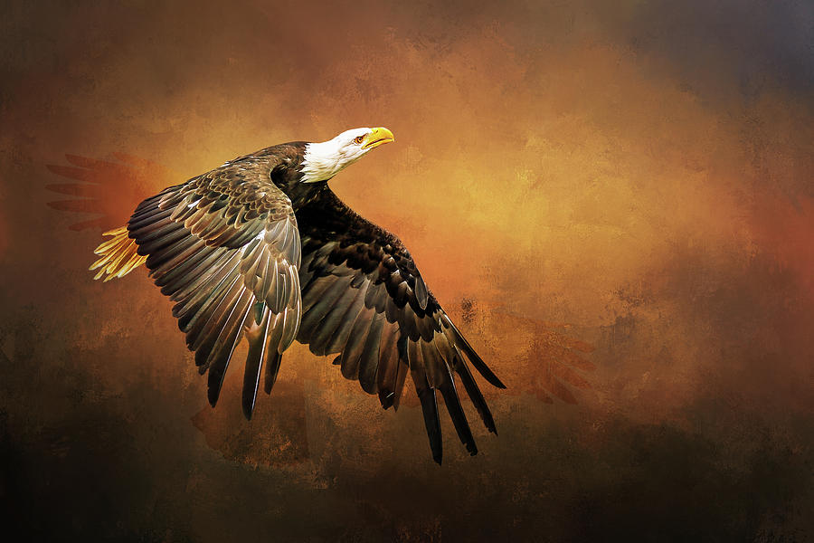 3x 3D Poster Eagles Flying Motorcycle USA Fly Amazing Lifelike Unique Image Art 