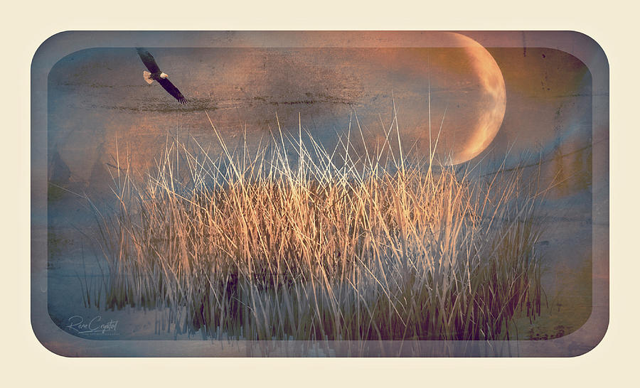 Fly Me To The Moon Photograph by Rene Crystal