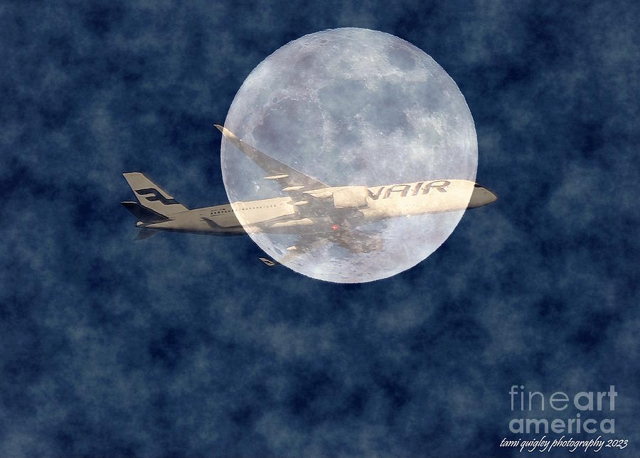 Fly Me To The Moon Photograph by Tami Quigley