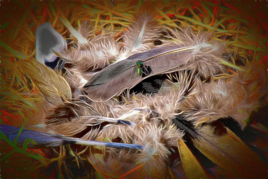 Fly on a Pile of Feathers   Artistic Digital Art by Linda Brody
