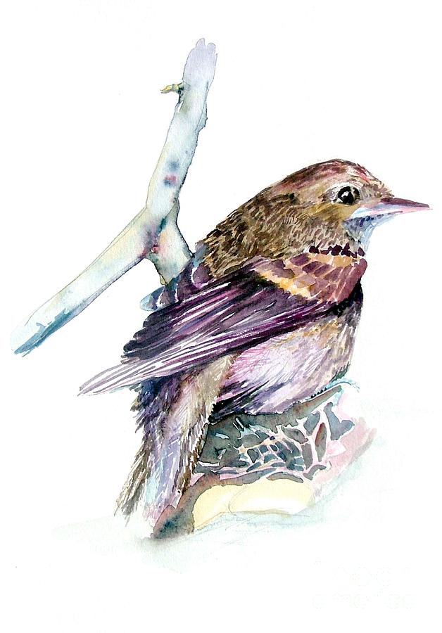 Flycatcher Painting by Mindy Newman
