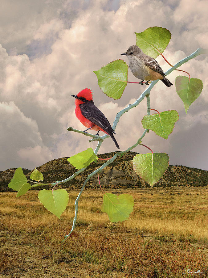 Flycatchers and Cottonwood Digital Art by M Spadecaller