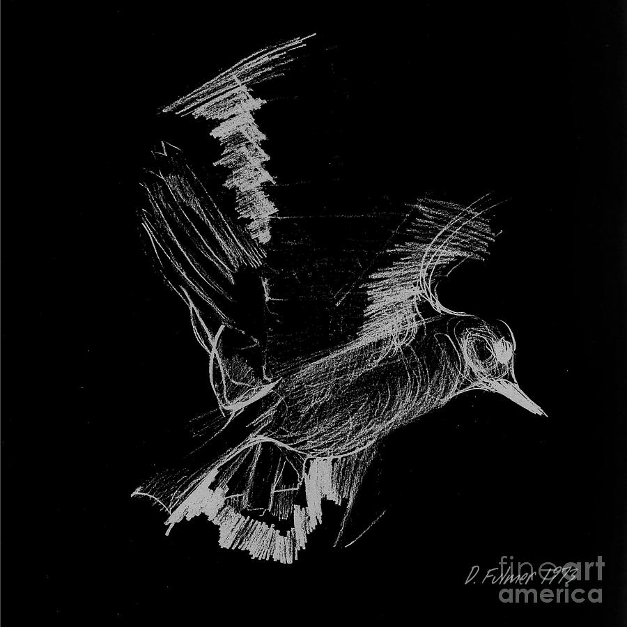 Fly By Night Drawing by Denise F Fulmer