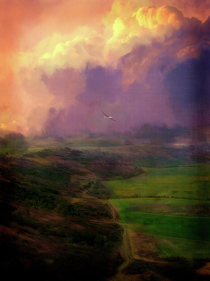Flying at Sunset Digital Art by Terry Davis