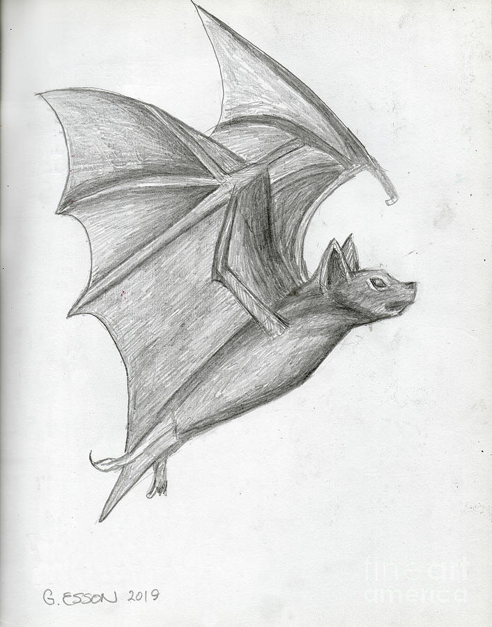 Flying Bat Drawing by Genevieve Esson