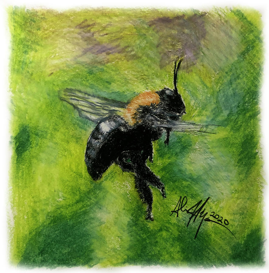 Flying Bee Drawing by Alicia Keyser - Fine Art America