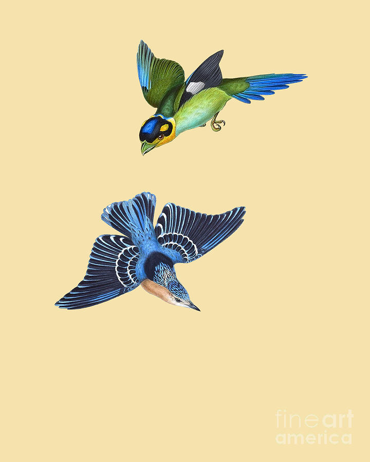 Bird Digital Art - Flying Birds by Madame Memento