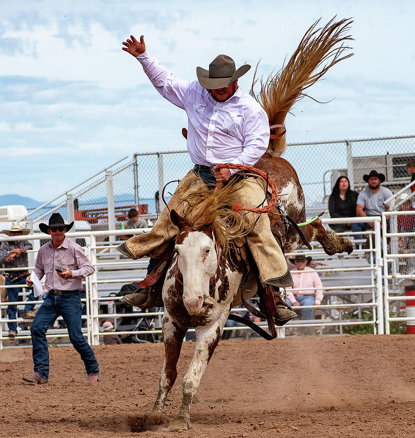 Flying Bronc Rider Photograph by Kelly Markus Flying Bronc Rider Photograph by Kelly Markus
