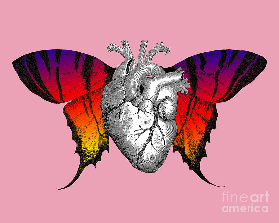 Butterfly Mixed Media - Flying Butterfly Heart by Madame Memento