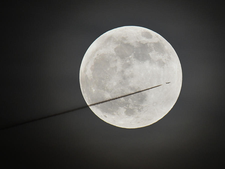 Flying By the Moon 1 Photograph by Michelle Wittensoldner