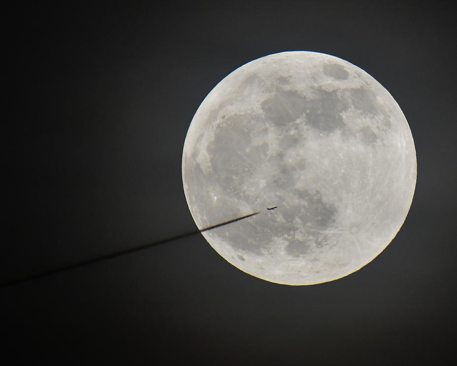 Flying by the Moon Photograph by Michelle Wittensoldner