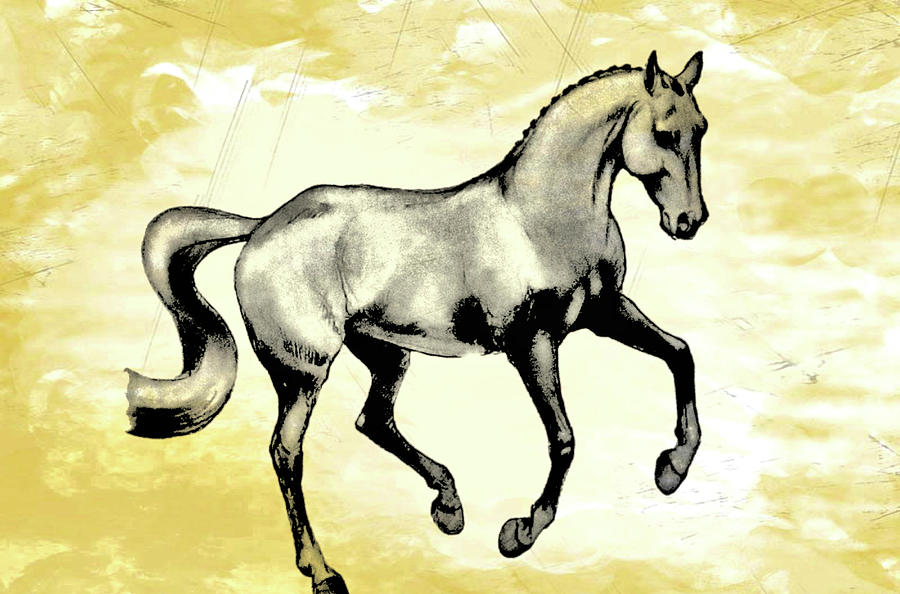 The Artful Stencil Dressage Horse Stencil