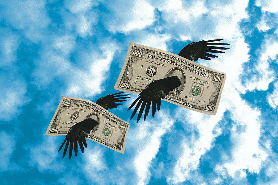 Flying Dollar Bills Photograph by John Foxx