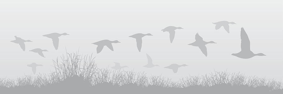 Flying Ducks in the Fog Drawing by Pelicankate