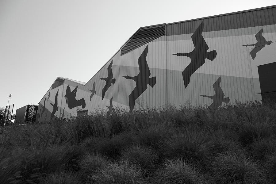 Flying ducks on the side of a building at the University of Oregon in black and white Photograph by Eldon McGraw