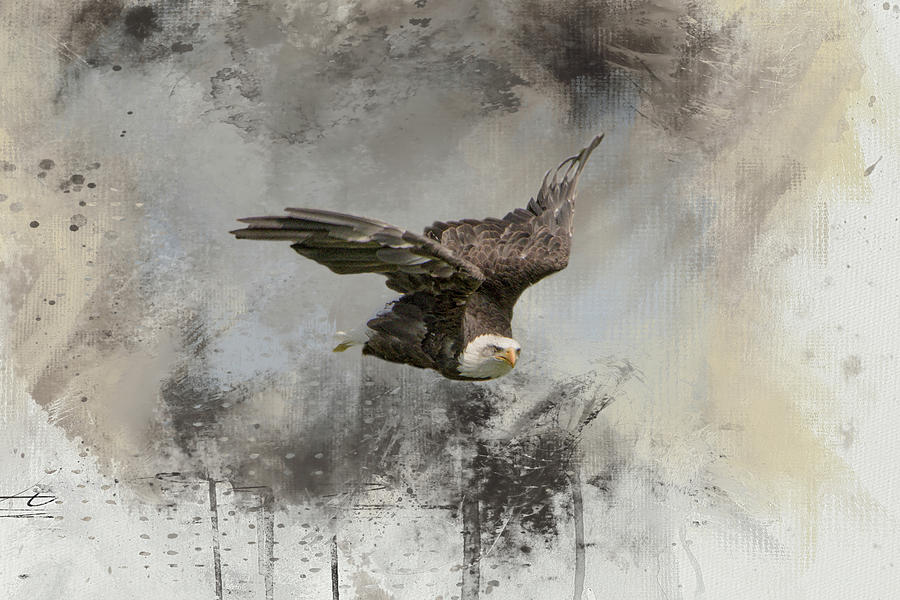 Eagle Soaring Digital Art by Marilyn Wilson