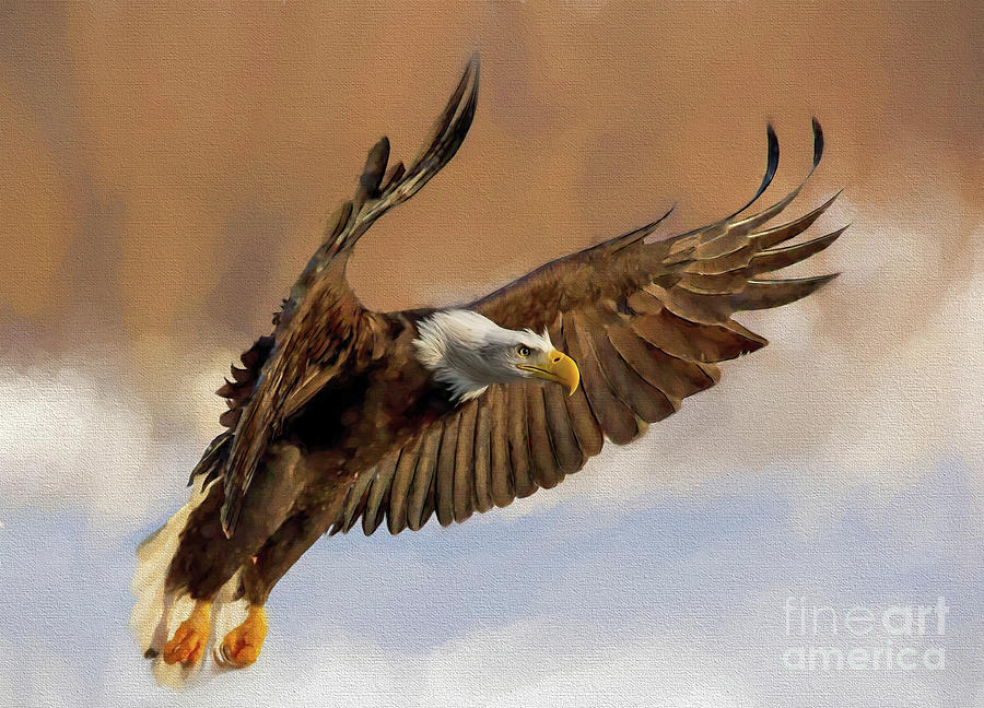 Eagle Painting - Flying Eagle art by Gull G