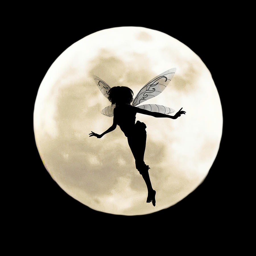 Flying Fairy Fantasy Digital Art by John Haldane