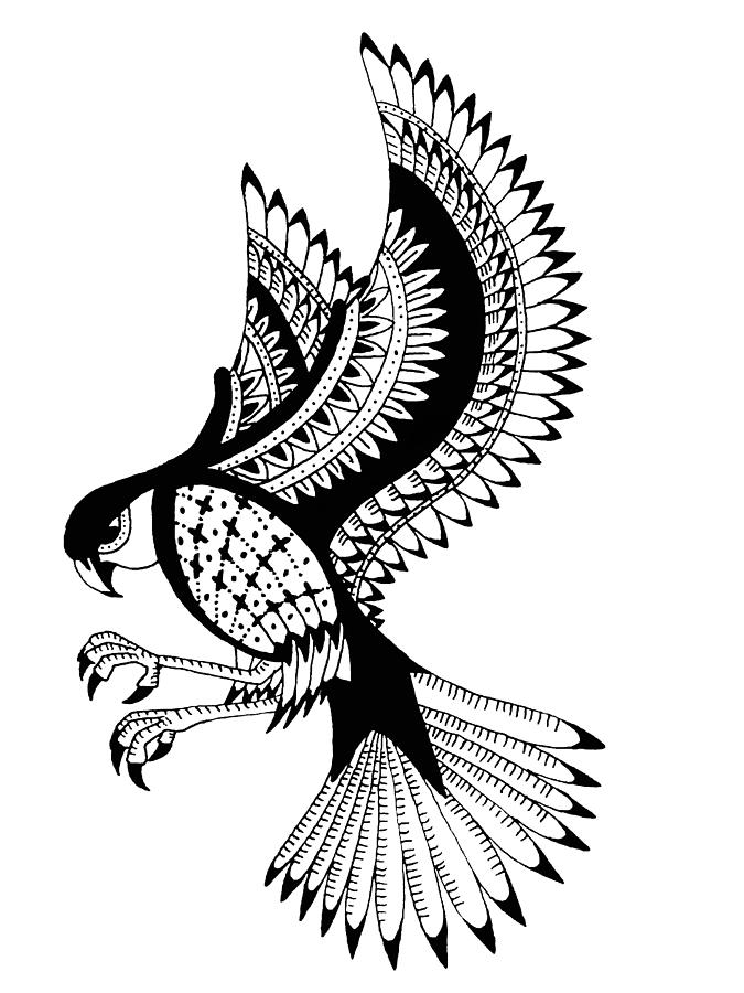Flying Falcon Drawing by James Knapp Fine Art America