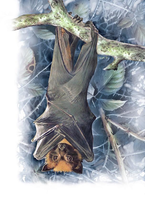Flying fox bat sleeping. Digital Art by Album