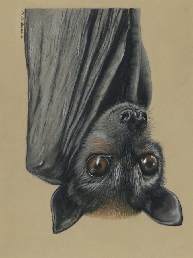 Nature Pastel - Flying Fox by Twyla Francois