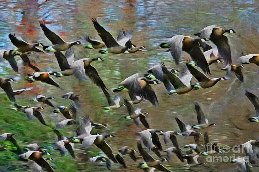 Flying Geese Art Photograph by Scott Cameron