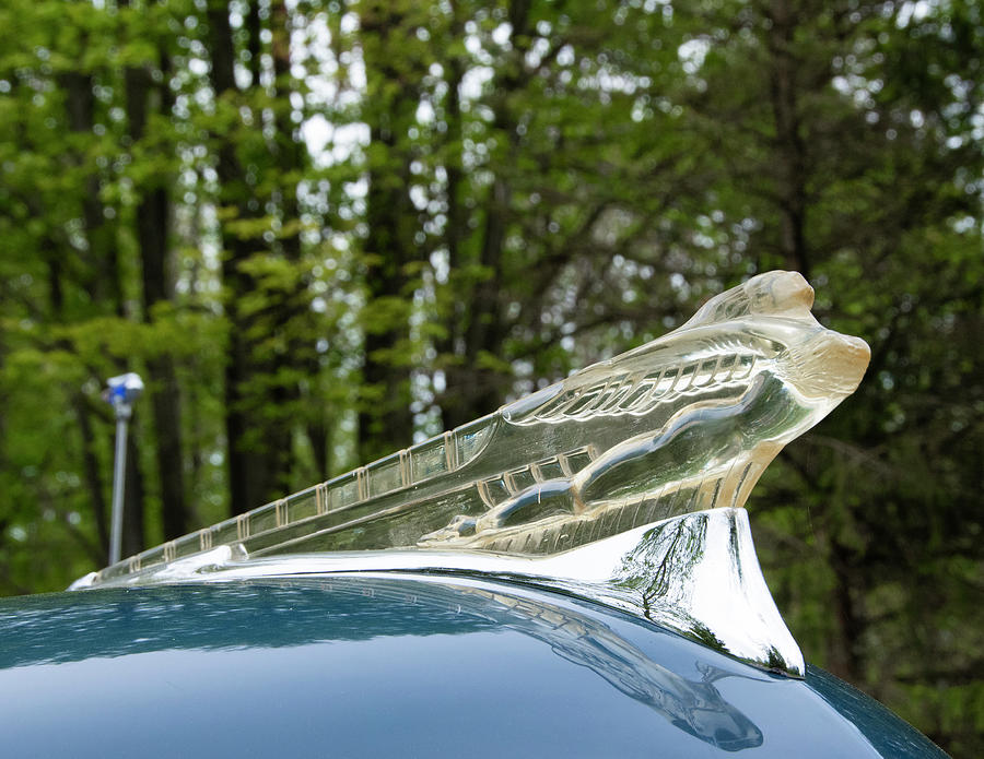 Car Photograph - DeSoto Flying Goddess by Chad Lilly